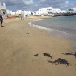 La Graciosa