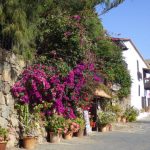Betancuria