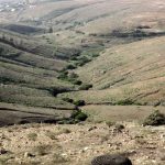 Mirador