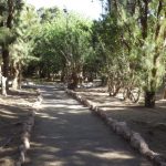 Costa Calma