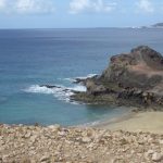 Papagayo