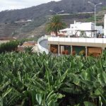 Tazacorte - Blick zur Promenade