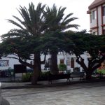 Tazacorte - Plaza Blick zur Strasse