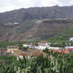Tazacorte - Blick über die Bananenplantagen