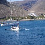 ... unter Aufsicht eines Seglers ...