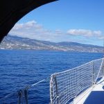 Madeira ist schon gut zu sehen