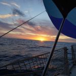 Segeln in den Sonnenuntergang