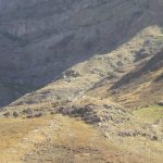 Monte Verde