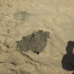 unter dem weissen Sand liegt der schwarze