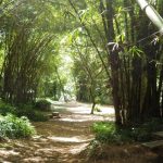 Chateaubelair, Picknickplatz am Wasserfall