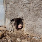 Da haben wir aber Schwein ...