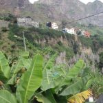 Zuckerrohr und Bananen im Paul-Tal